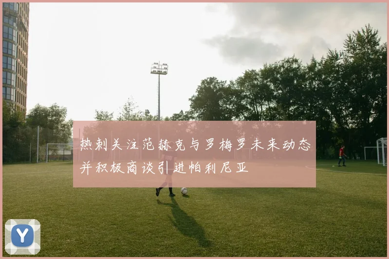 热刺关注范赫克与罗梅罗未来动态并积极商谈引进帕利尼亚